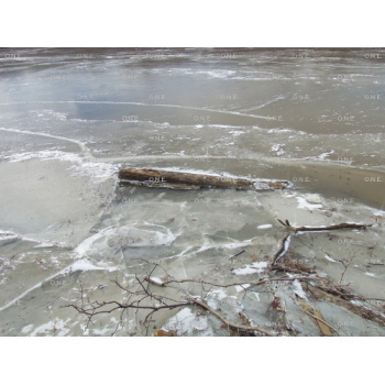 Frozen Water Driftwood